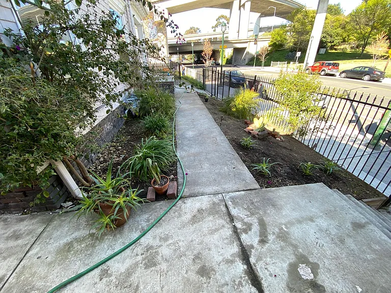 Front Yard