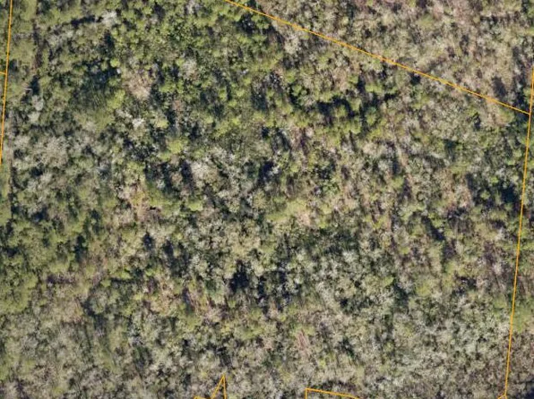 1-1B Farmers Chapel Rd NE Lot 1B, Leland, NC 28451