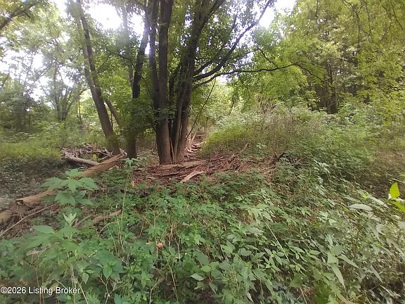 5th image of 4920 Youngers Creek Rd