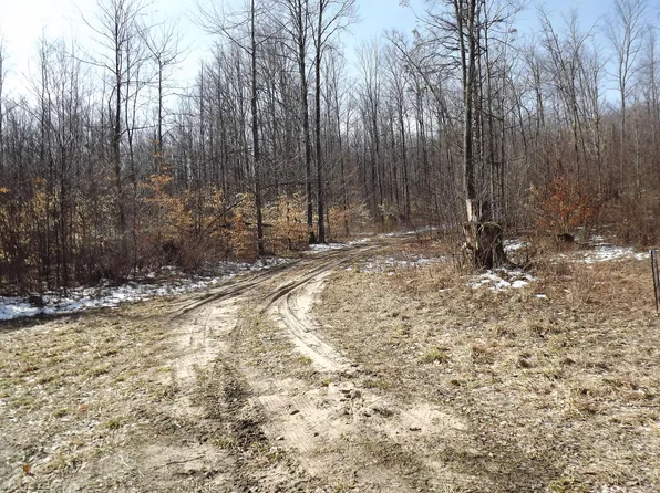 0 Valley St., Alden, MI 49612