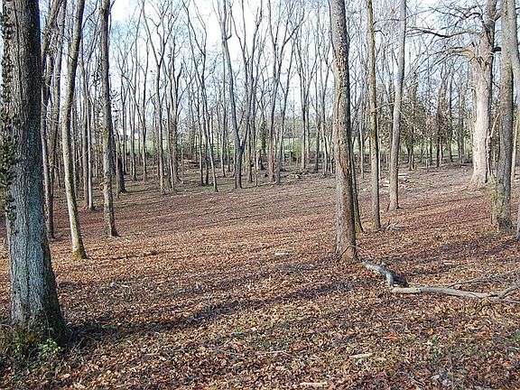 5th image of 6140 Hiddenaway Ln