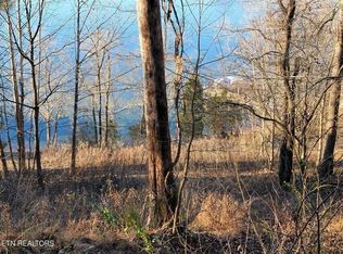 455 Clearwater Dr, Spring City, TN 37381
