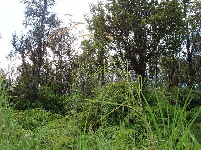 2nd image of LOT 7493rd
