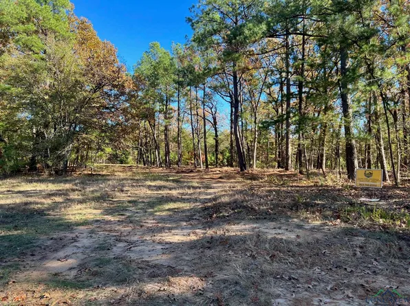 Strickland Springs Rd, Marshall, TX 75672