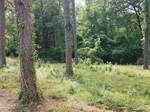4th image of 2443 N Lake Dr