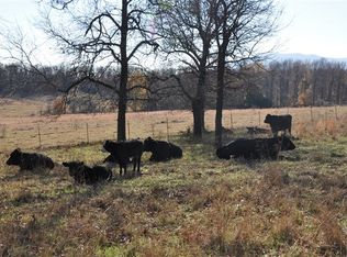 19719 Quays Rd, Cameron, OK 74932