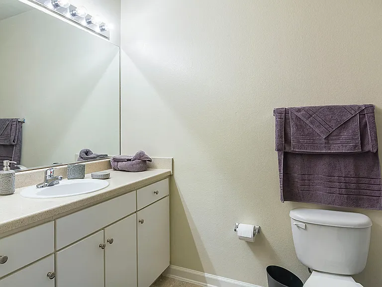 Furnished Bathroom