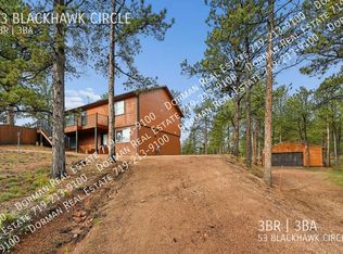 53 Blackhawk Cir, Florissant, CO 80816