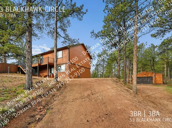 53 Blackhawk Cir, Florissant, CO 80816