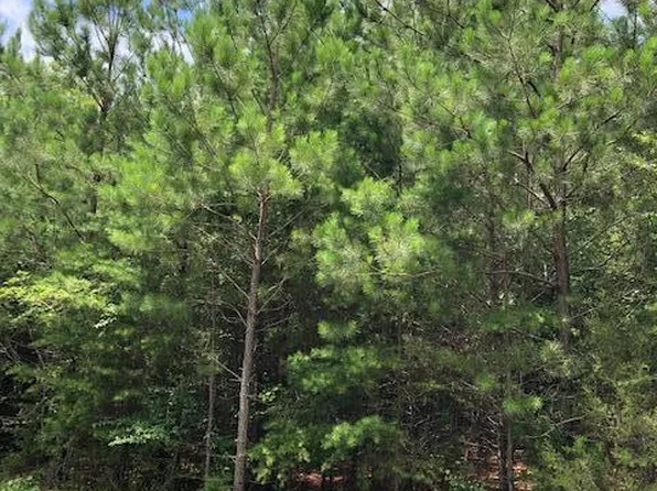 Pinhook Rd, Spring City, TN 37381