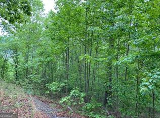 L5 Town View Rd #13, Blairsville, GA 30512