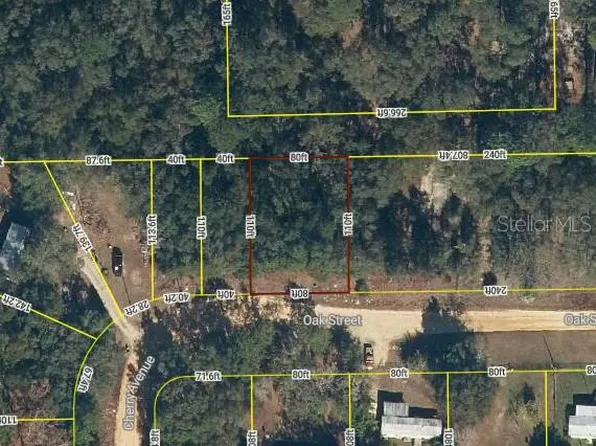 Lots 12 & 13 Oak St Lot 12-13, Hawthorne, FL 32640