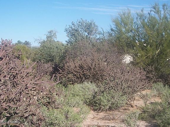 3rd image of 9221 N Camino De Plz