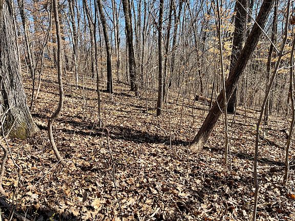5th image of Dogwood Ln