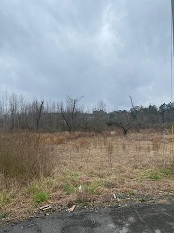 2nd image of 194 Deer Park Dr Lot 11