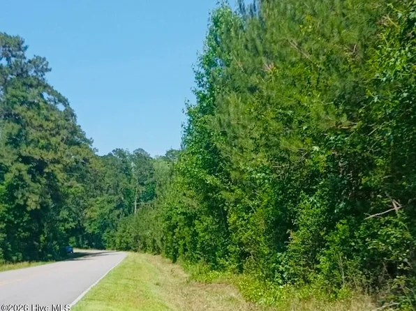 82 Acres Point Caswell Rd Road, Atkinson, NC 28421