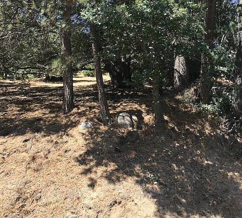 4th image of 480 Wylerhorn Dr