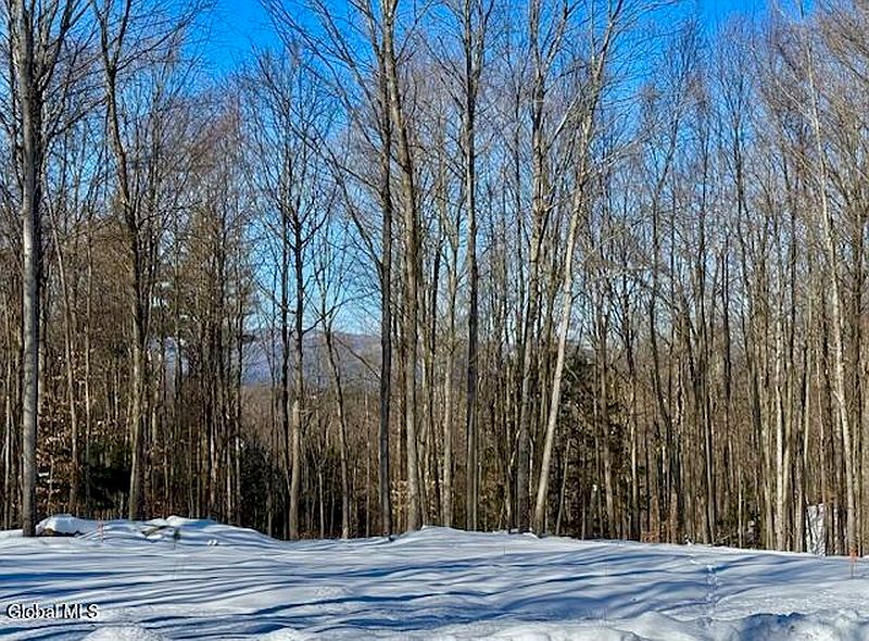 3rd image of 36 Lincoln Mountain Road