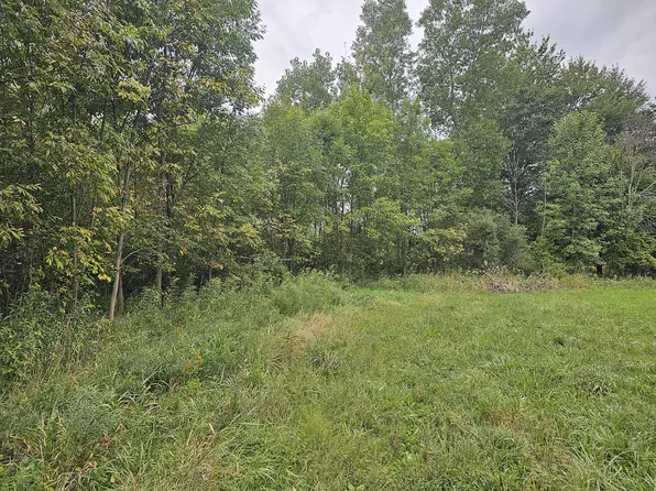 5437 Tiffany Ave NE, Rockford, MI 49341