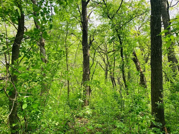 148XX County Highway 30 Lot B, Pelican Rapids, MN 56572