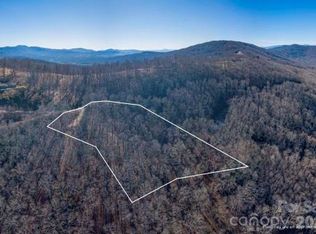 96 Castanea Mountain Dr, Asheville, NC 28803