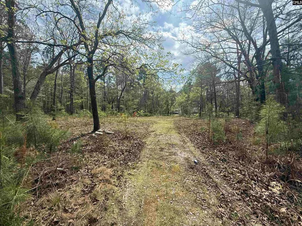 129 Treemount Ln, Gaston, SC 29053