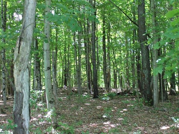 4th image of 32 County Route 30