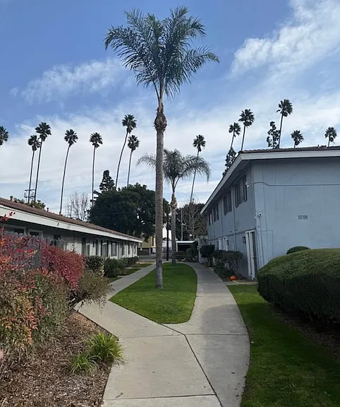 Villa Palms Apartments — Photo 10