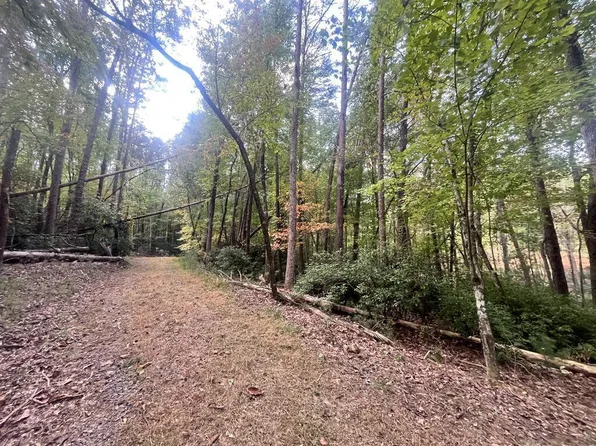 Township Road 1 Turniptown Rd, Ellijay, GA 30536