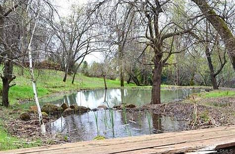 A small walking bridge over the inlet of the pond, exudes a calm