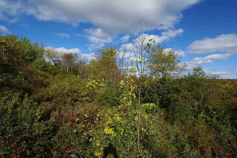 4th image of 0 MIDDLE Road