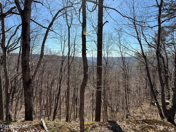 Cumberland Cove Rd, Monterey, TN 38574