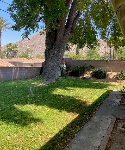 515 Alta Mesa Dr — Photo 4