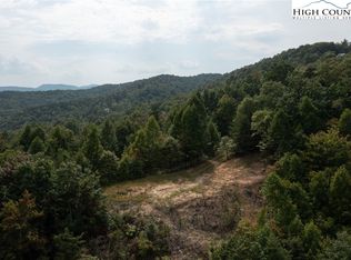 68 Elk Horn Rd, Ferguson, NC 28624