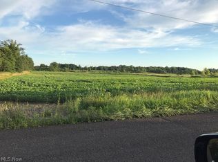 Selkirk Bush Rd, Newton Falls, OH 44444