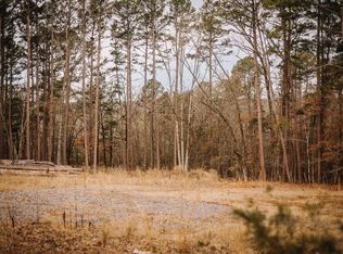 149 View Dr, Shirley, AR 72153