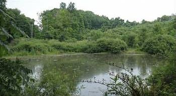 2nd image of 3035 Township Road 40 NE