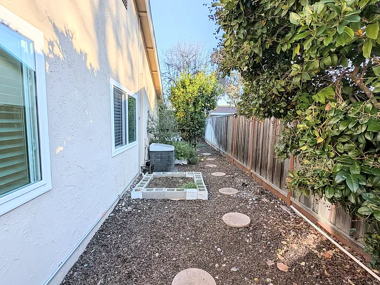 Backyard view 5