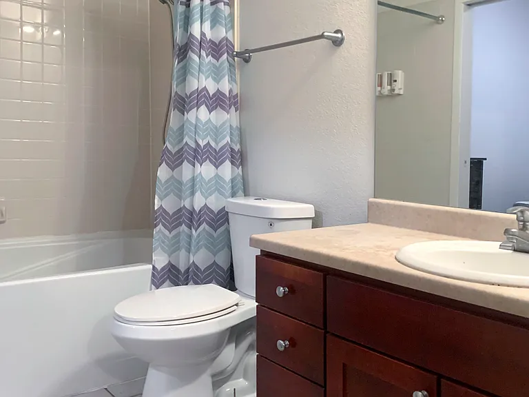 Bathroom1