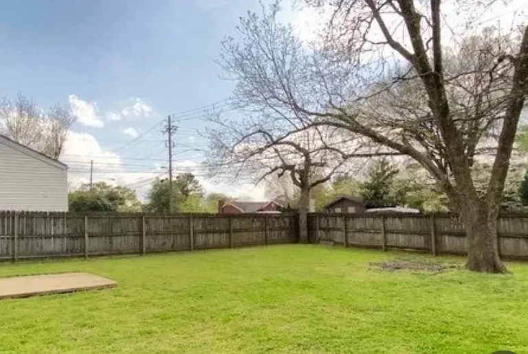 BACK YARD