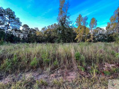 0 Lost Antlers, Texarkana, TX, 75501