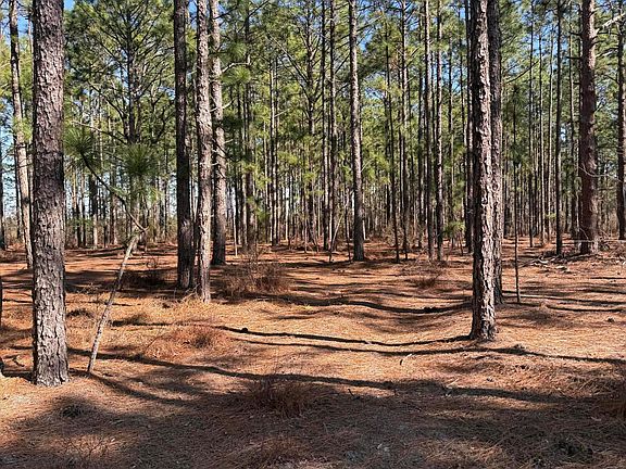 5th image of Fairview Rd