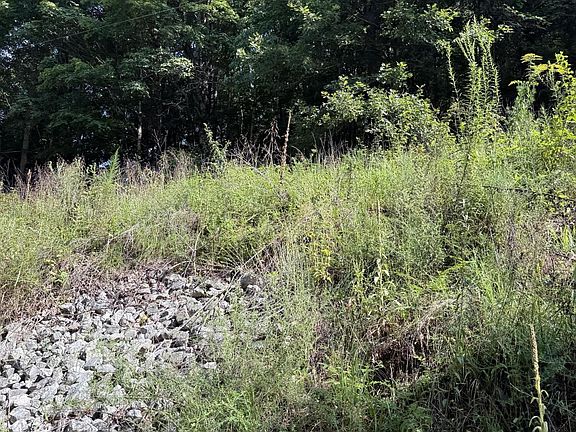 4th image of 115 Hughes Hollow Rd