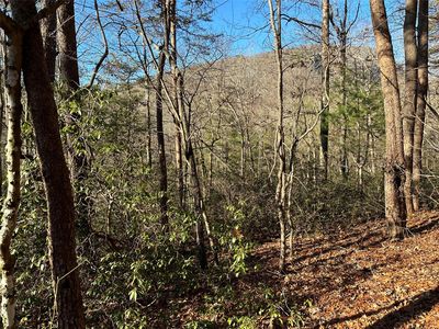 0 Hemlock Ln #18, Lake Lure, NC, 28746