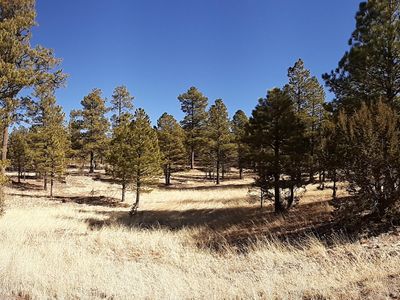 2799 Cherokee Way, Happy Jack, AZ, 86024