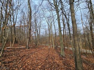 56461 State Route 541, Kimbolton, OH 43749