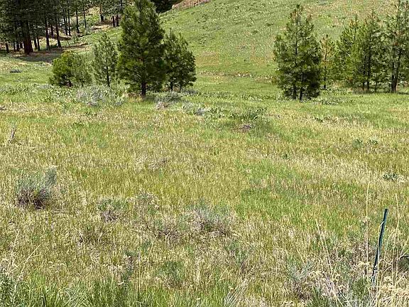 4th image of 3476 Fawn Ln