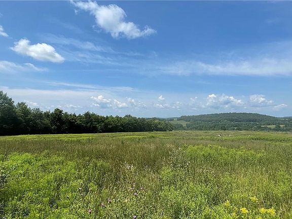 4th image of Beechwoods Road