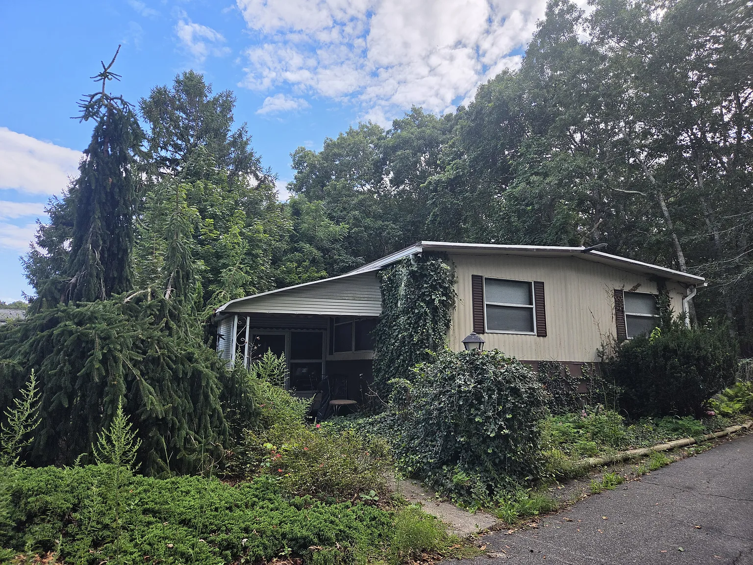 3 bed, 3500 sqft, $3,500 — Photo 1