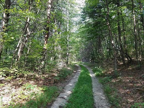 5th image of 5410 Blackhouse Mountain Rd